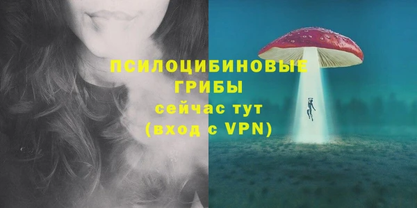 ECSTASY Абаза