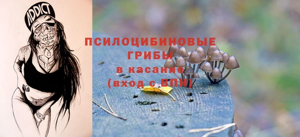 ECSTASY Абаза